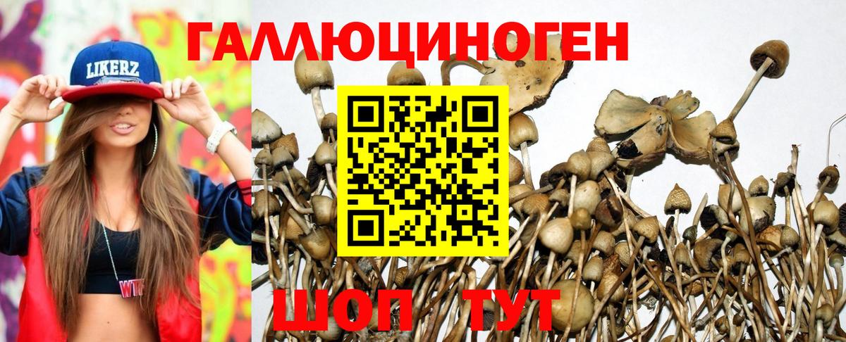 Галлюциногенные грибы мицелий Сыктывкар