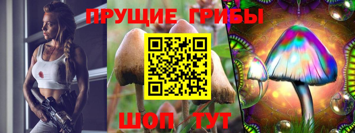Галлюциногенные грибы Psilocybe  Вход с VPN  Сыктывкар 